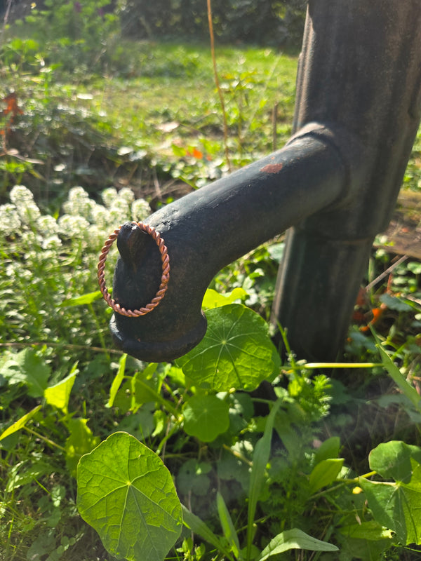 Kundfoto